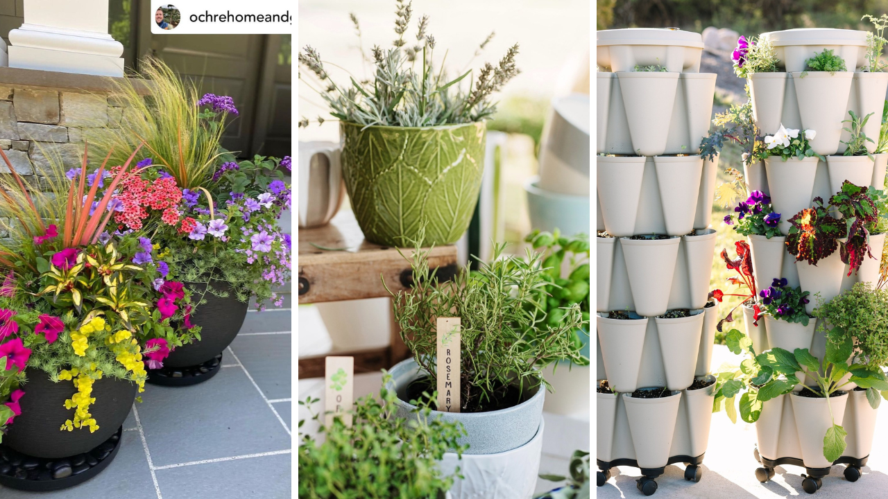 bucket garden