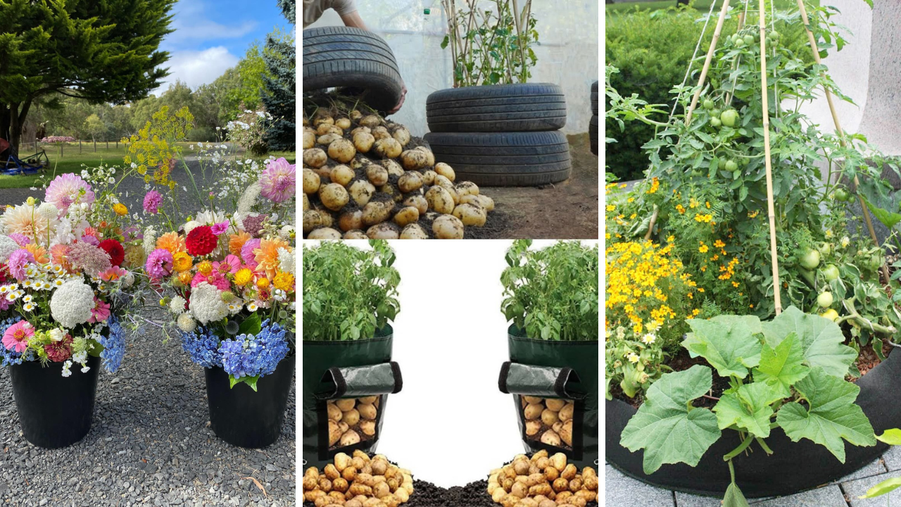 gallon bucket garden