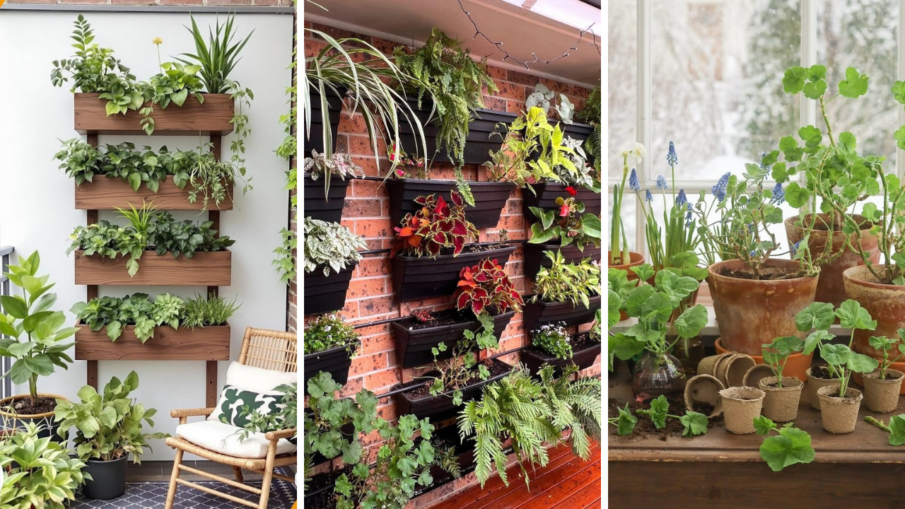 herb garden ideas