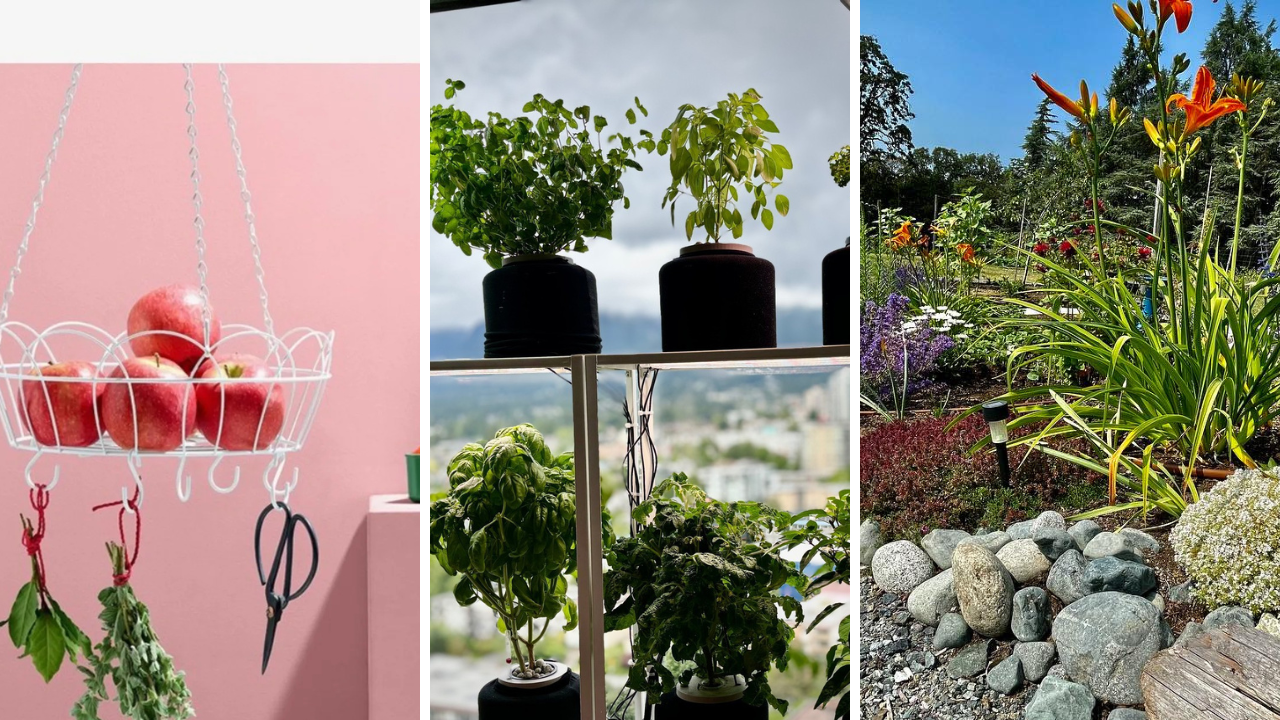 small vegetable gardens