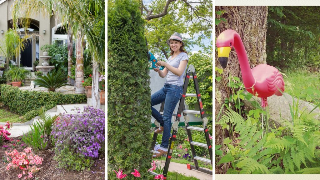 yard decor ideas